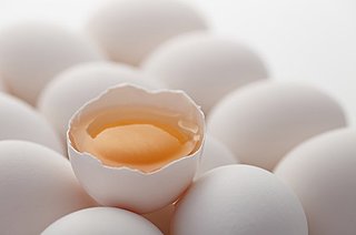 おつまみに、ごはんに「冷凍たまご」?! 生卵を殻のまま凍らせるなんて