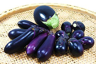 ナスがもっとも美味しい季節です。なんと賄賂に関係が!? そして「あの諺」の真意とは？
