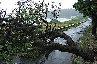 夏から秋にかけての「台風」に備え、いざという時に帰宅困難にならない、2つのポイントとは？