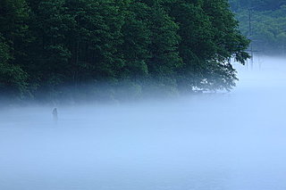 七十二候≪蒙霧升降～ふかききり　まとう～≫朝晩の空気の涼しさに霧が立ちこめる頃