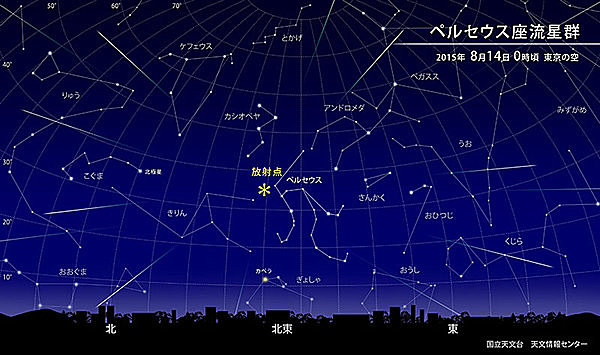 ペルセウス座流星群の特徴とその他の流星の違いは？