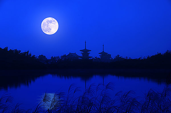明日28日の満月は、月の姿が今年最大に。来月10月25日の十三夜のお月見もお忘れなく