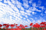 ９月２３日「秋分の日」秋たけなわの今昔模様