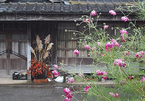 秋雨前線と台風の影響で、降雨量が多くなる秋の日本。気候の特徴と注意点とは？