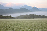 季節は晩秋の気配…二十四節気「寒露」。野山は色づき、渡り鳥がやってくる時節です