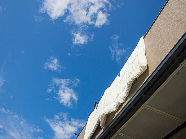 曇りや雨の日に干すとさらにダニ＆カビが増える原因になるのでお天気に要注意です。秋晴れの日に干しましょう