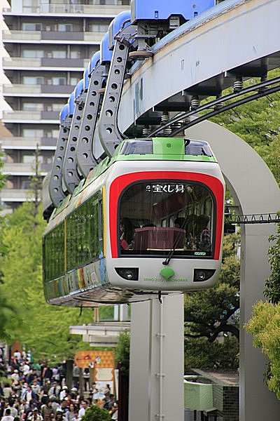 チビッコたちに大人気。頭上走ってます！
