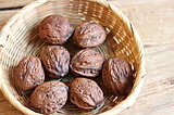 9月30日は「クルミの日」。触れても、食べても、埋めても?