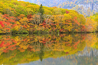 いよいよ紅葉狩りのトップシーズン到来！　大自然に抱かれた、信州の絶景・紅葉スポット