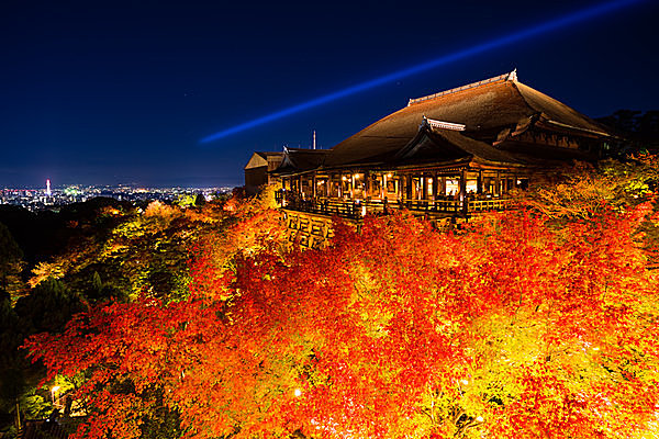 これから見頃を迎える紅葉スポットも。いざ、「紅葉狩り」へ！
