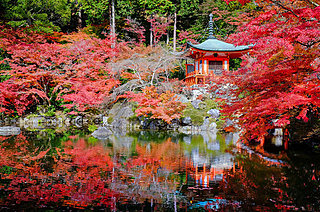 絶句するほどの圧巻さ！ 歴史上の人物ゆかりの古都・京都の絶景紅葉スポット！