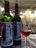 「オーパス天空庭園収穫祭2015」首都高とワインの関係とは？都会のオアシス産の貴重なブドウ！