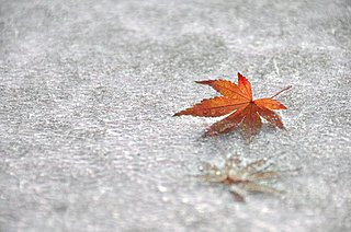 七十二候「地始凍(ちはじめてこおる)」。来年のカレンダーには、風景がありますか？