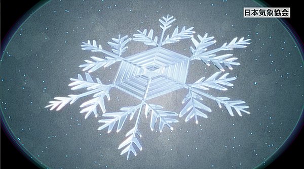 あの形 の雪 見たことある 雪の結晶の形を決めるもの Tenki Jpサプリ 15年11月24日 日本気象協会 Tenki Jp