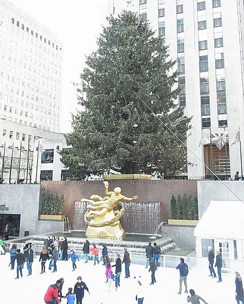 昼間のスケートリンクとクリスマスツリー