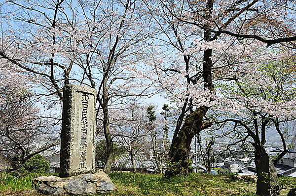 京都山科　春の大石内蔵助住居跡