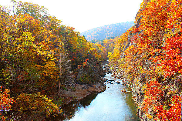 札幌市内にある温泉・渓谷で紅葉狩り／定山渓（じょうざんけい）（札幌市南区）