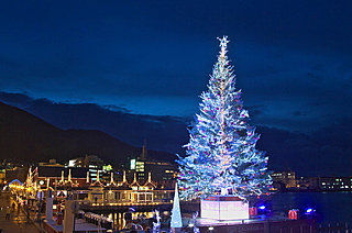 海に浮かぶツリーが美しすぎ !!　函館クリスマス・ファンタジーに行かなきゃ !!