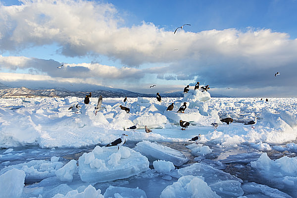 北海道の東の果てオホーツクの海を覆う「流氷」。諏訪湖の「御神渡り（おみわたり）」は神さまの愛の道