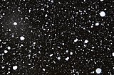 暴風雪や厳しい寒さに見舞われた1月。春の静かな兆しに、静かな期待が込められた2月の詩歌